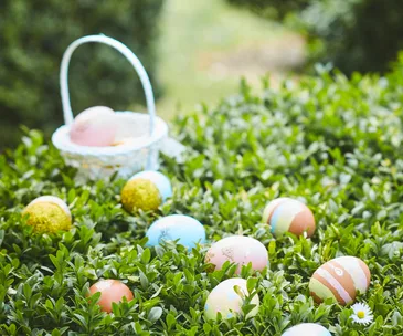 Child-friendly treats perfect for an Easter Sunday egg hunt