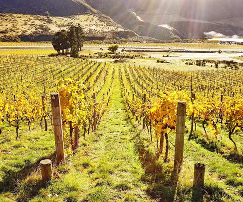 All the winners from Food magazine's Top Wine Awards 2019