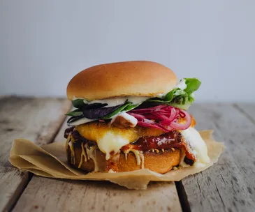 Fennel and lemon-crumbed mozzarella burgers
