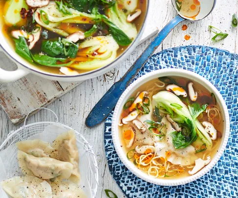 Homemade chicken wonton noodle soup