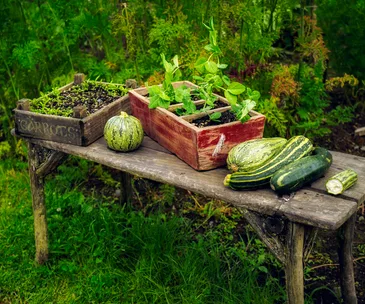garden table with winter vegetables