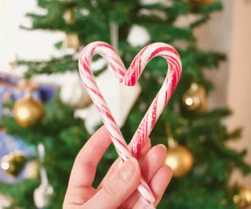 6 Kiwi food charities you can support this Christmas to spread festive cheer