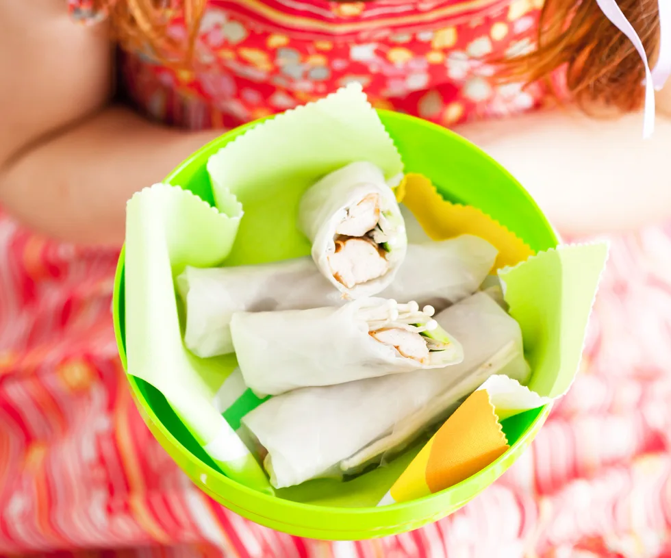 teriyaki chicken rice paper rolls