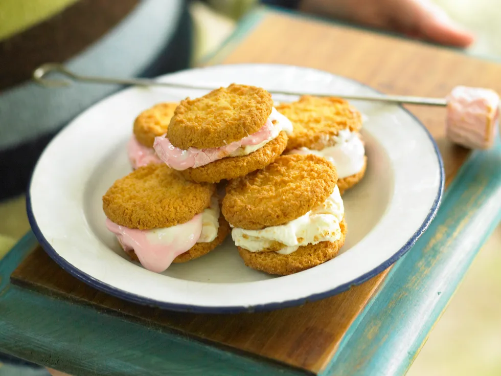 Marshmallow Sandwiches