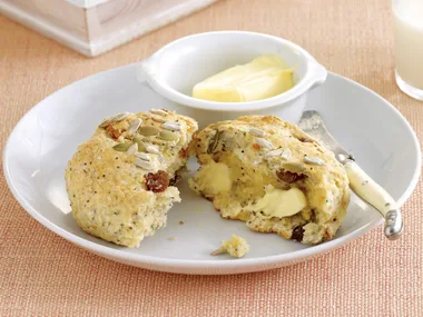 wholemeal Fruit andamp; Seed Dampers