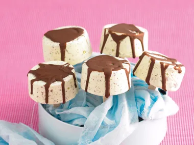 Simply fantastic - chocolate mint iceblocks