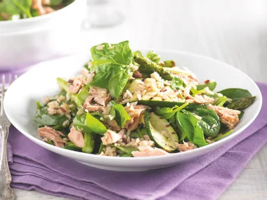 Char-grilled Vegie and Tuna Rice