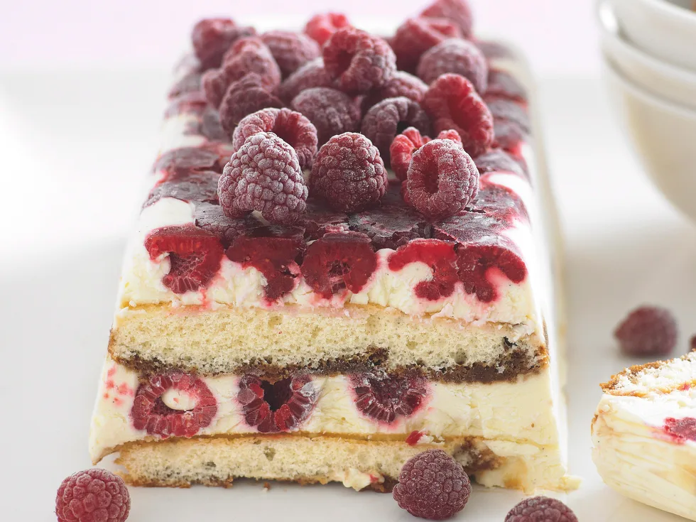Frozen raspberry tiramisu
