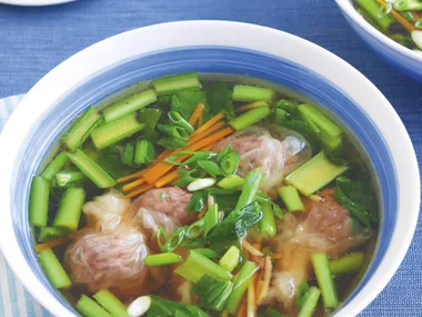 Beef Wonton Soup with Asian Greens