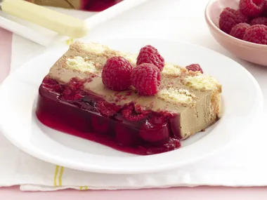 Chocolate and Raspberry Tiramisu Terrine