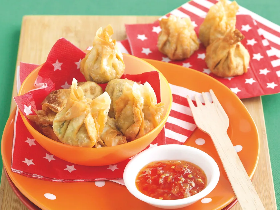 Pork and Noodle Moneybags