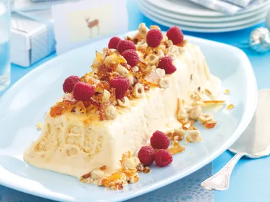 Coffee Semifreddo