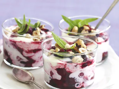 Berry and Yogurt Swirl