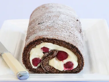 Chocolate and raspberry Swiss roll