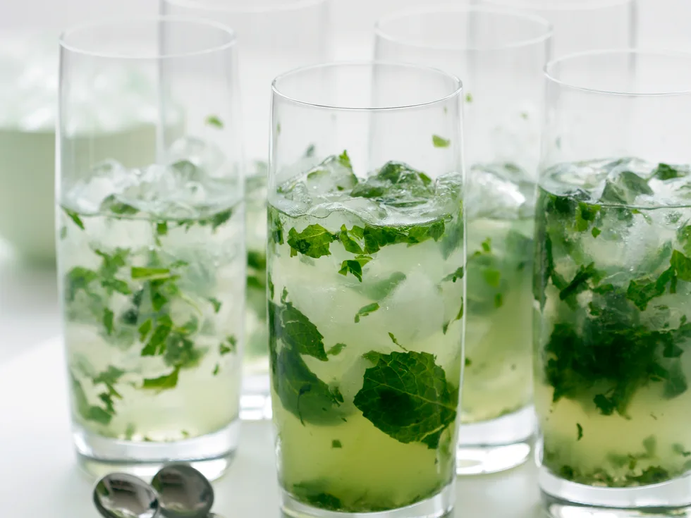 Gin Mint Juleps