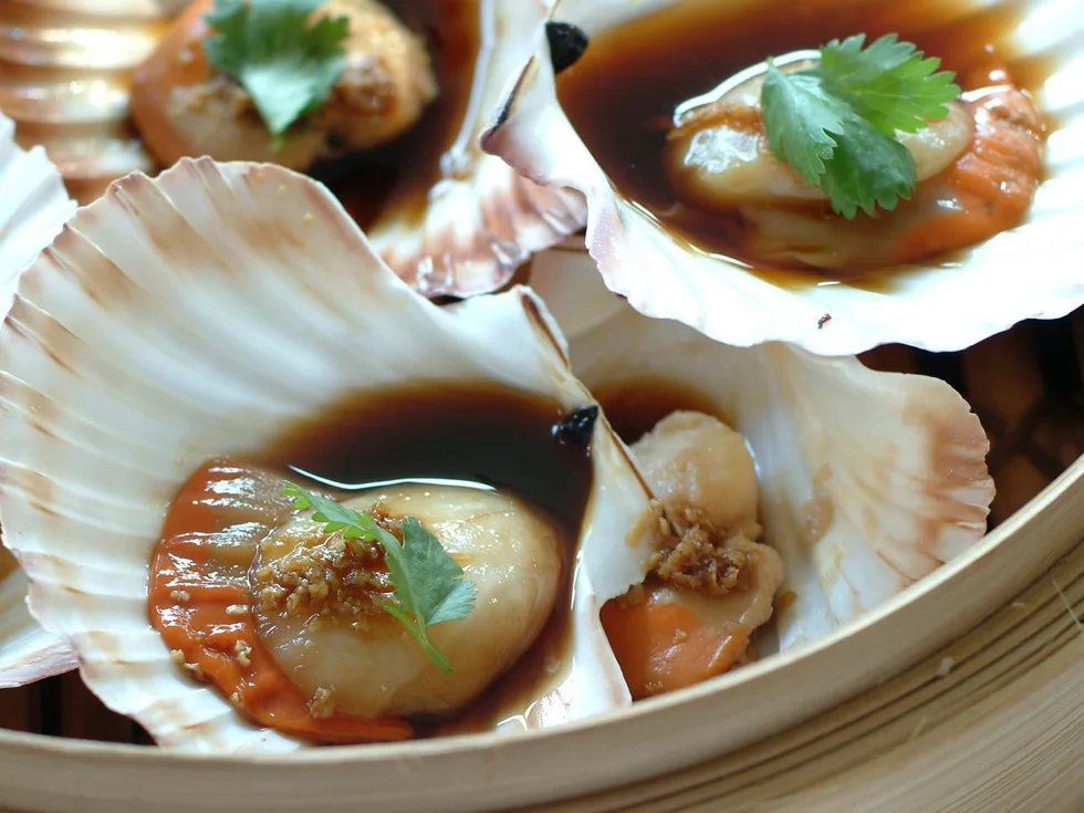 Steamed Scallops with Ginger