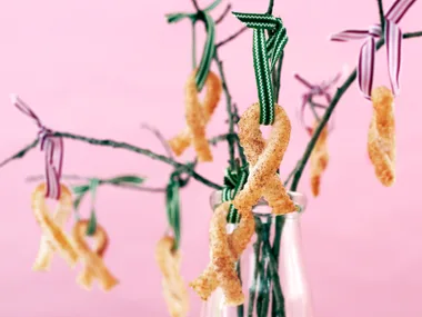 Cinnamon Sugar Twists