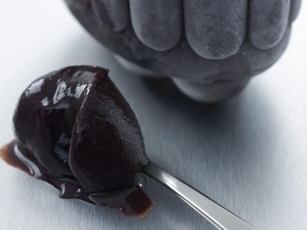 Chocolate and Orange Sorbet