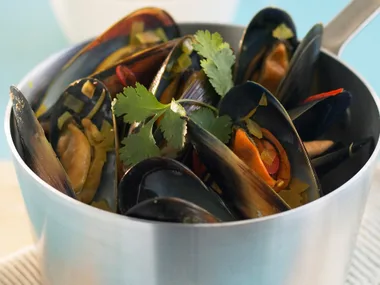 Steaming Up - Steamed Mussels