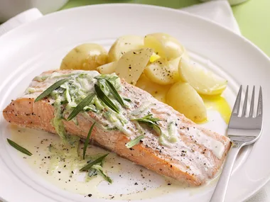 Poached salmon with cucumber sauce