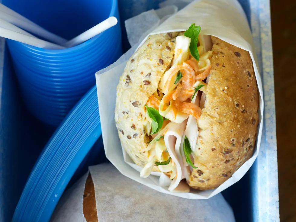 Turkey and Coleslaw Rolls