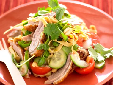barbecued duck and noodle salad