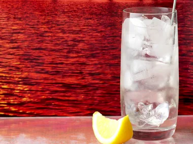 gin and tonic with elderflower