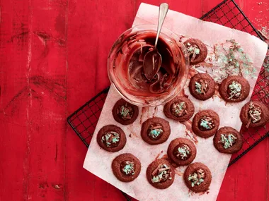 Chocolate peppermint cookies