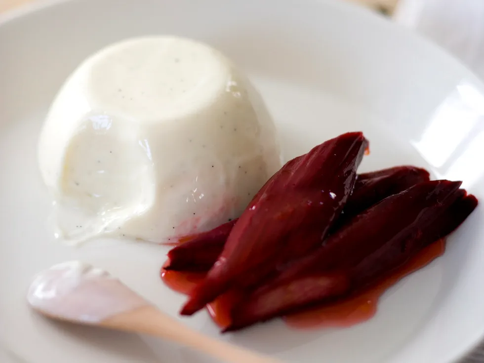 Yoghurt panna cotta with baked rhubarb