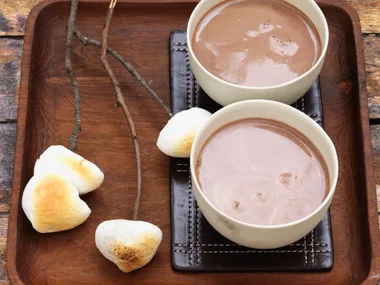 Living - Tree Change- Hot Cocoa Bowls