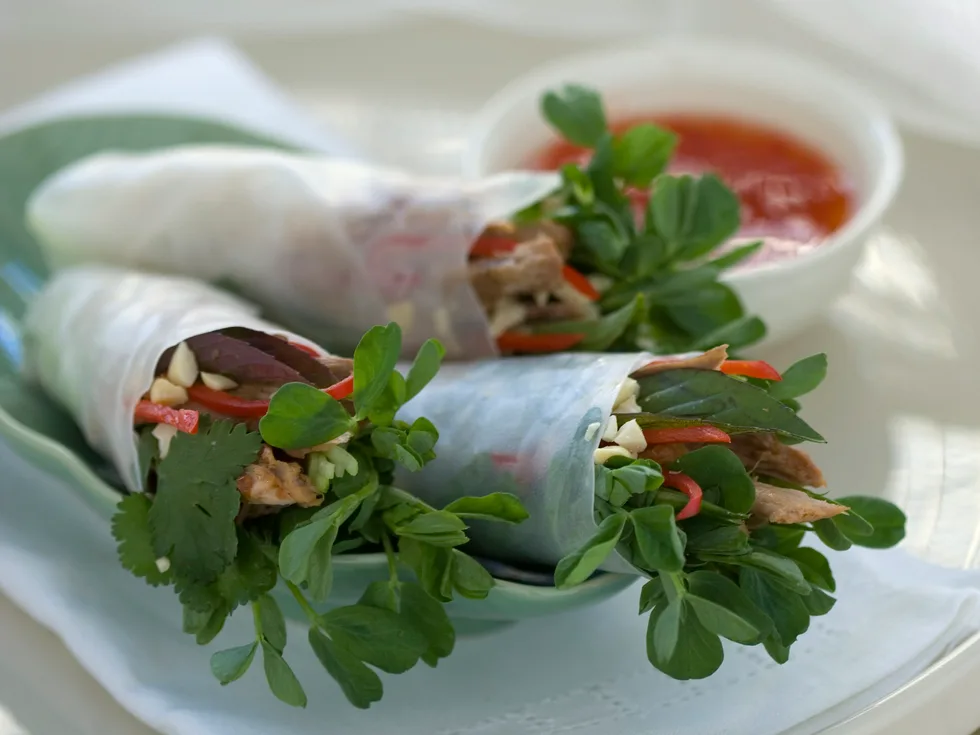 Duck and Chilli Rice Paper Rolls