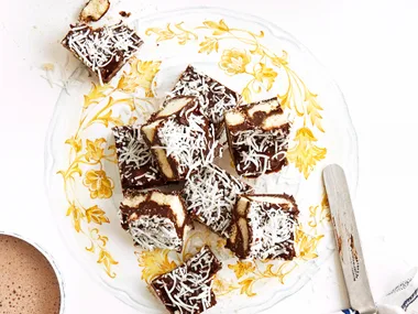 chocolate coconut hedgehog slice