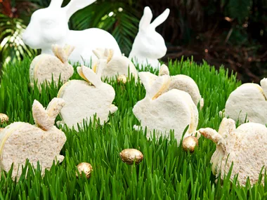 Triple Decker Bunny Bites