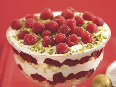 Raspberry and Yogurt Trifle