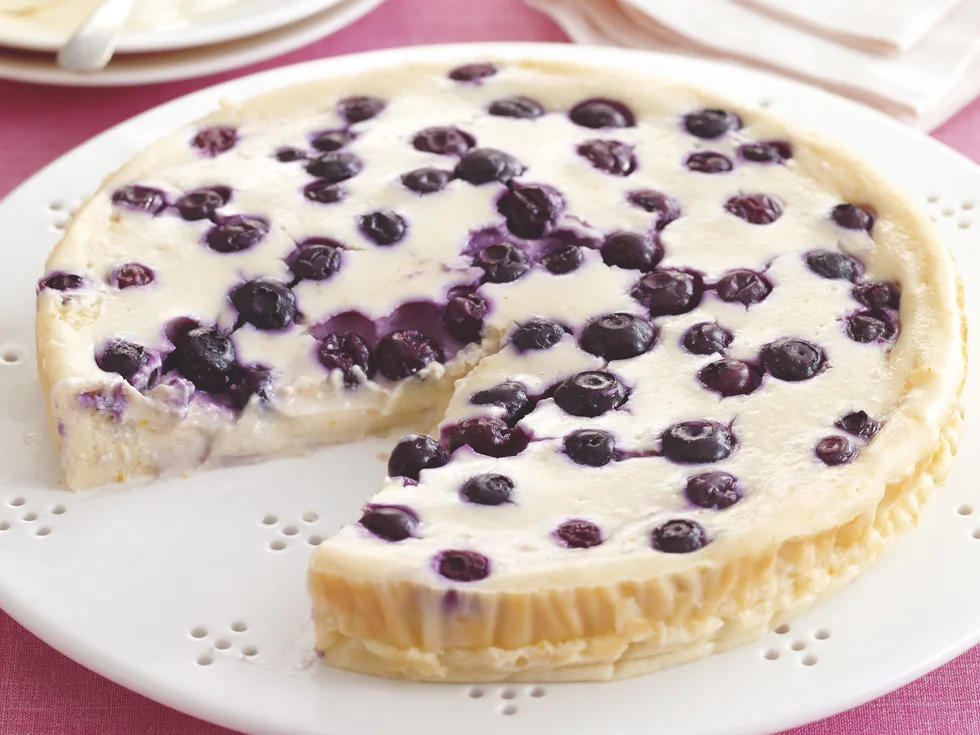 Orange and Blueberry Cheesecake