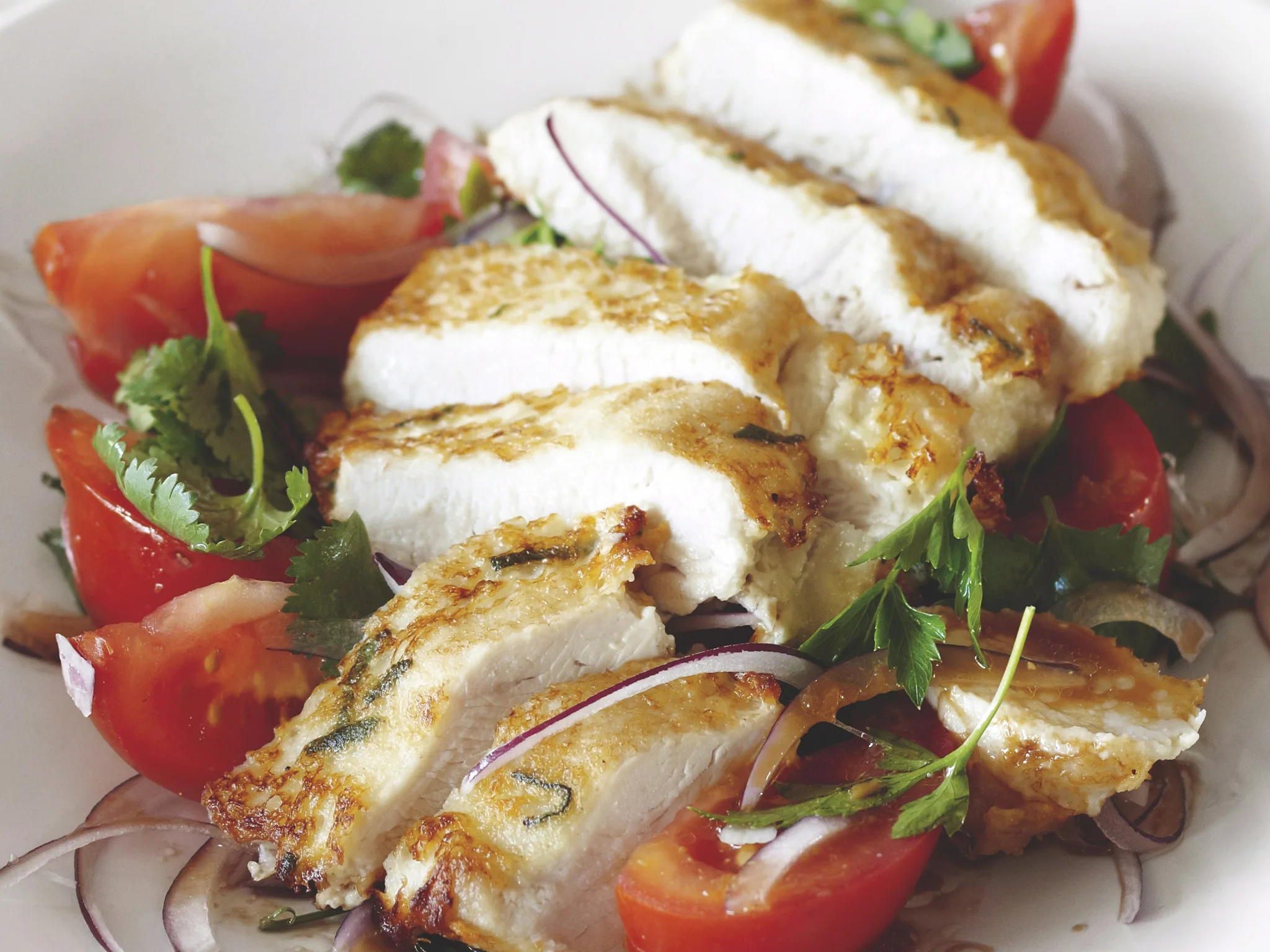 Tokyo Turkey Schnitzel