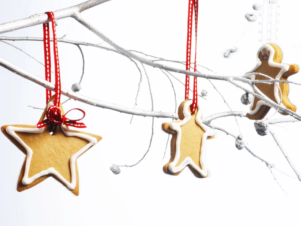 gingerbread biscuits
