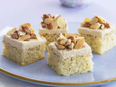 hazelnut and coconut sponge squares
