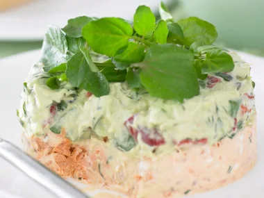 layered salmon and avocado dip