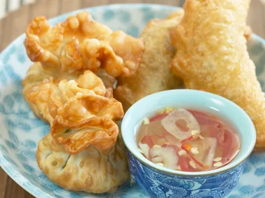 money bags and curry puffs