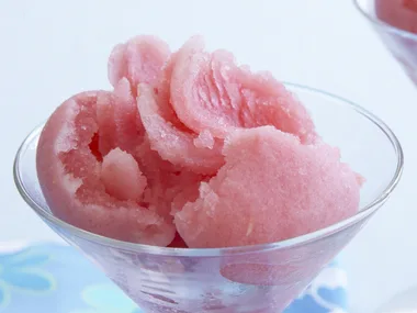 watermelon and vodka sorbet
