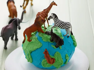 Animal planet
