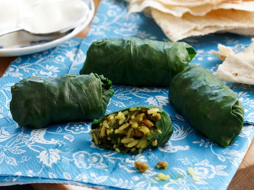 Cheat's dolmades