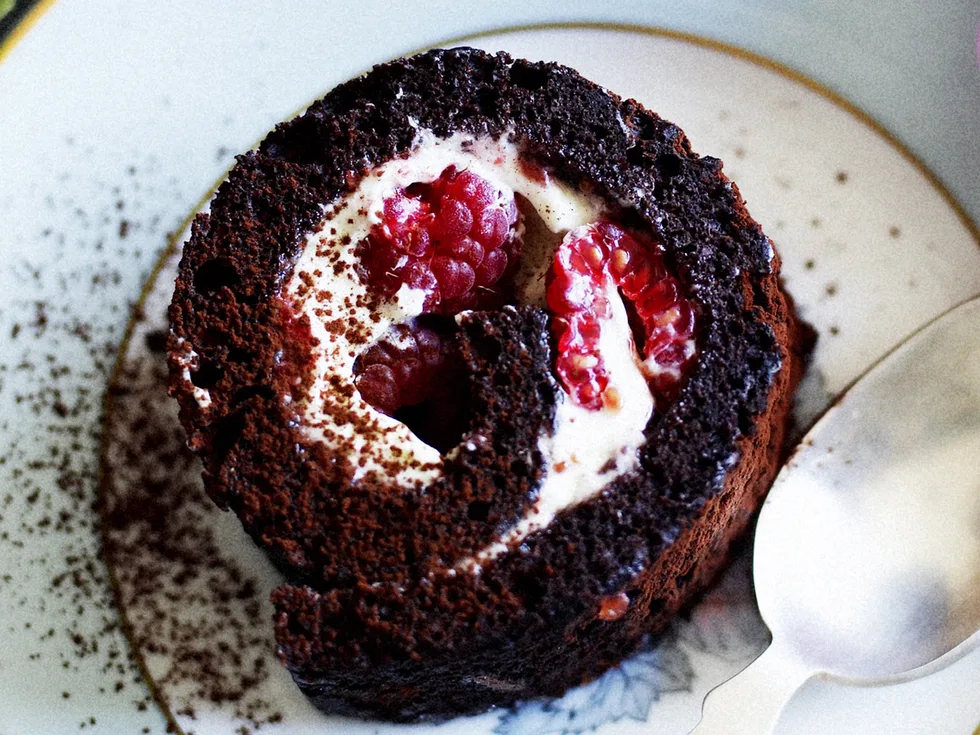 Chocolate and raspberry swiss roll