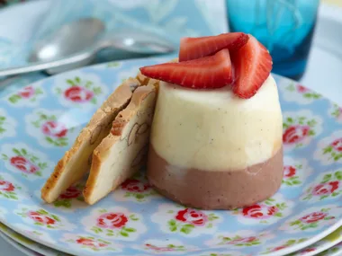 Chocolate yoghurt panna cotta