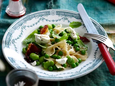 Farfalle and Bean Salad