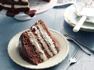 Chocolate layer fudge cake