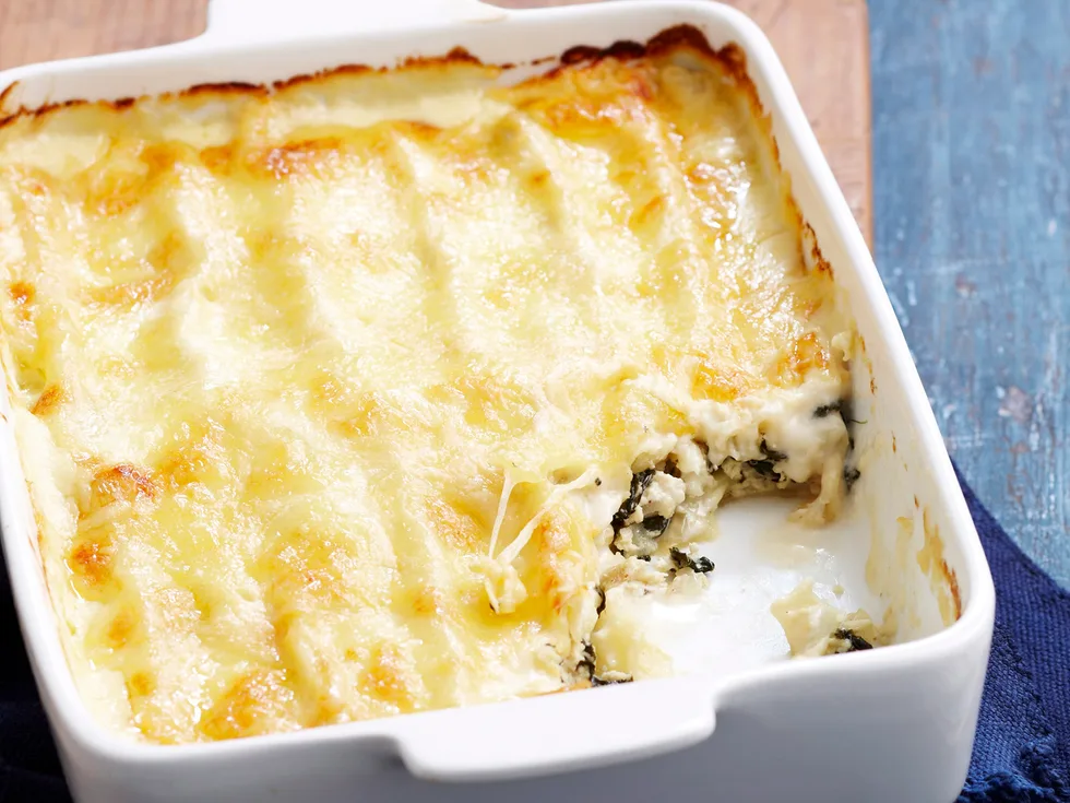 Creamy cannelloni