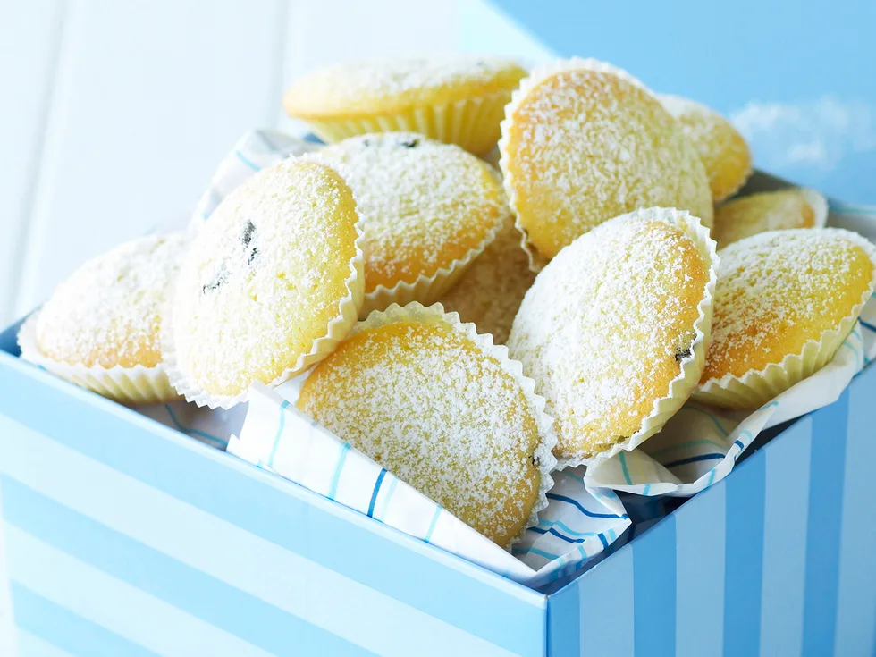 Currant patty cakes