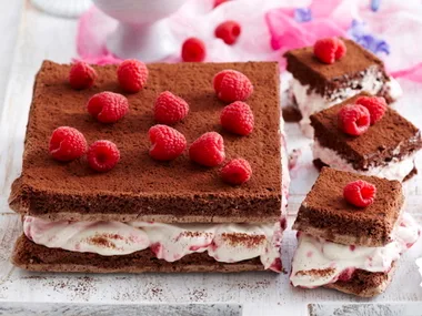 Double chocolate and raspberry sponge